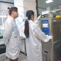 严格把控亚洲香蕉在线观看精度图片